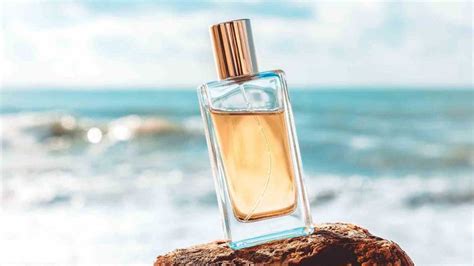 chanel profumi san marino